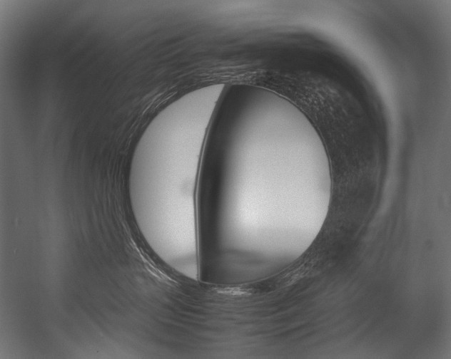 X0000054470383200507291054
