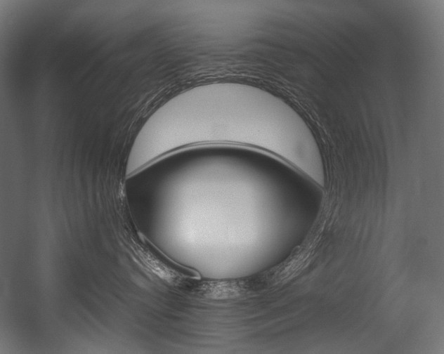 X0000054470384200507291054