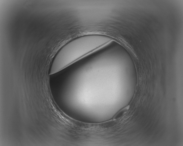 X0000054470385200507291053