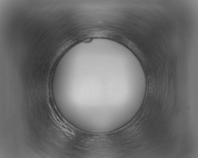 X0000054470386200507291053
