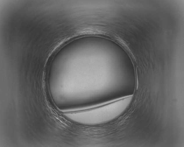 X0000054470387200507291053