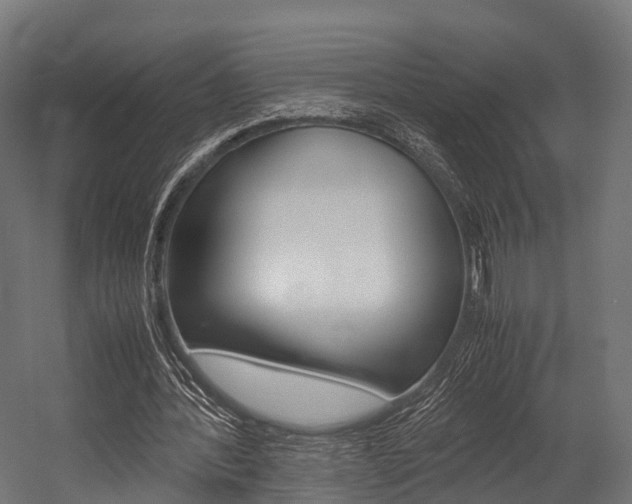X0000054470388200507291053