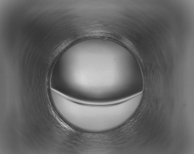 X0000054470389200507291053