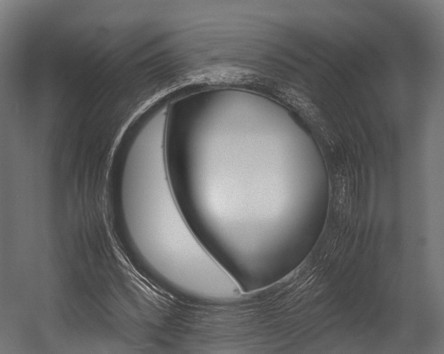 X0000054470392200507291053