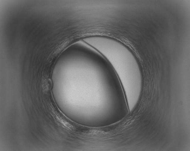 X0000054470393200507291053