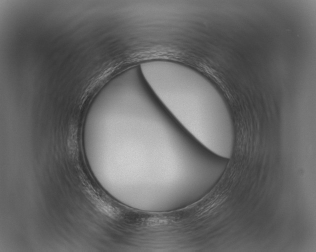 X0000054470394200507291053