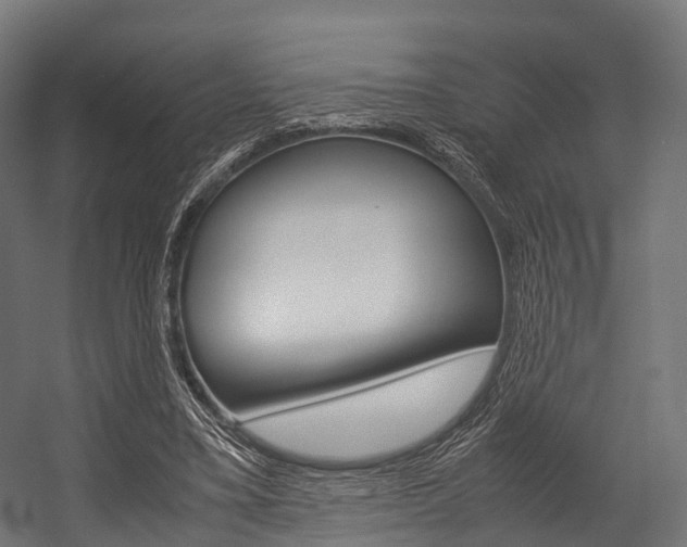 X0000054470395200507291053