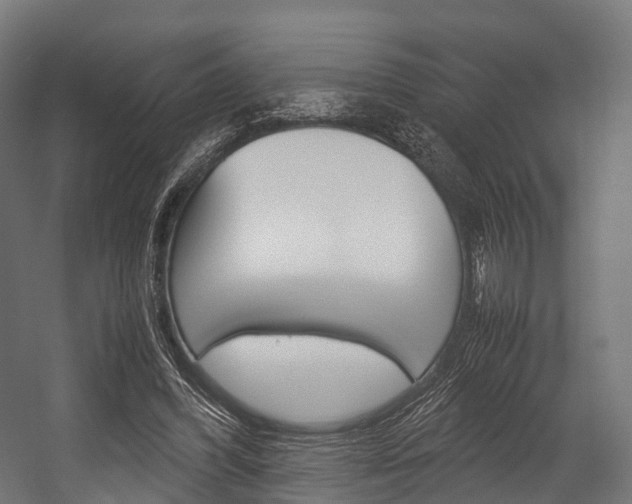 X0000054470396200507291053