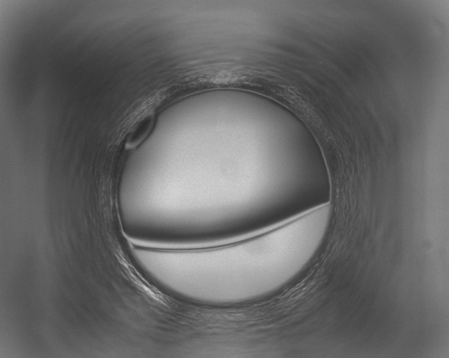 X0000054470397200507291053