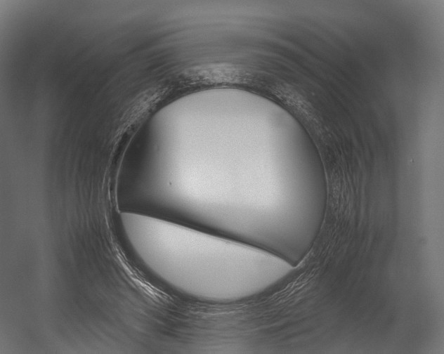 X0000054470398200507291053