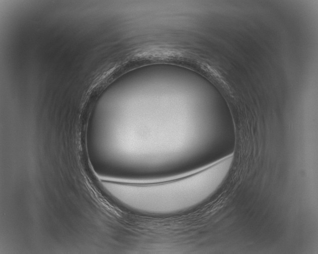 X0000054470399200507291053