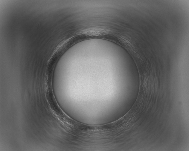 X0000054470400200507291053