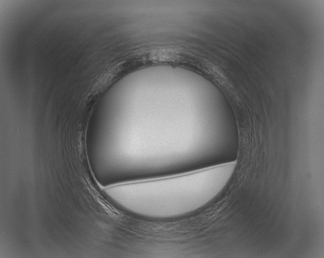 X0000054470401200507291053