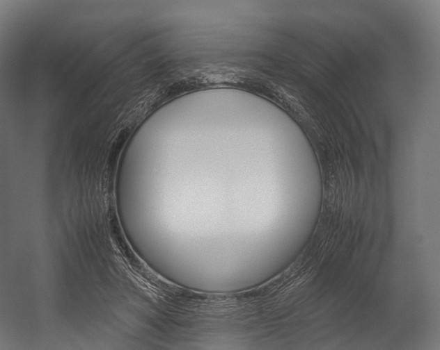 X0000054470402200507291053