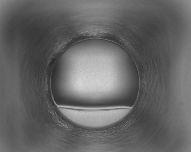 X0000054470403200507291053