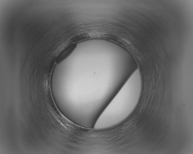 X0000054470405200507291053