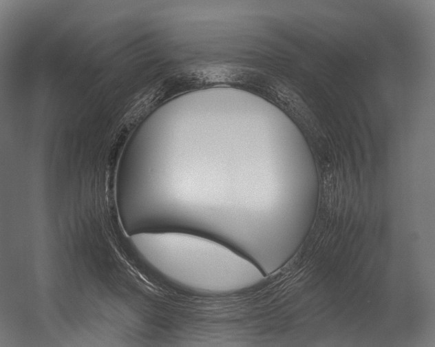 X0000054470406200507291053