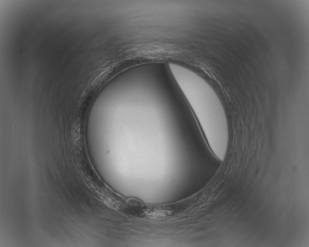 X0000054470407200507291053