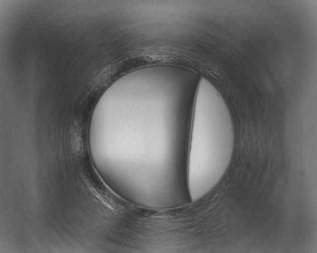 X0000054470408200507291053