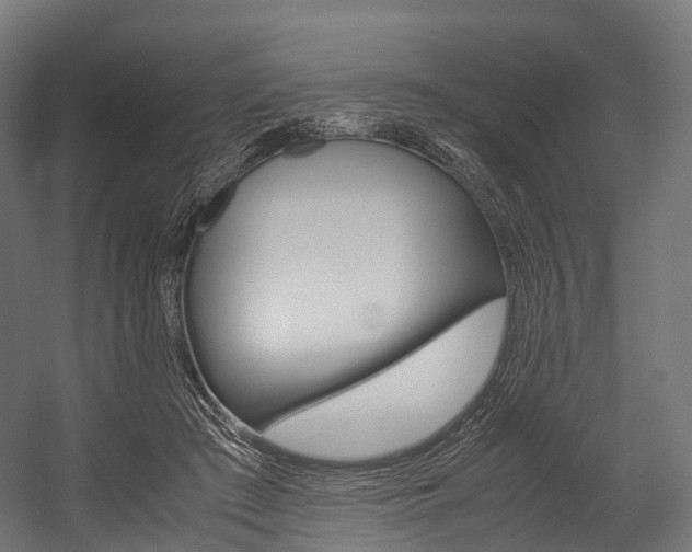 X0000054470409200507291053