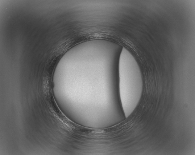 X0000054470410200507291052