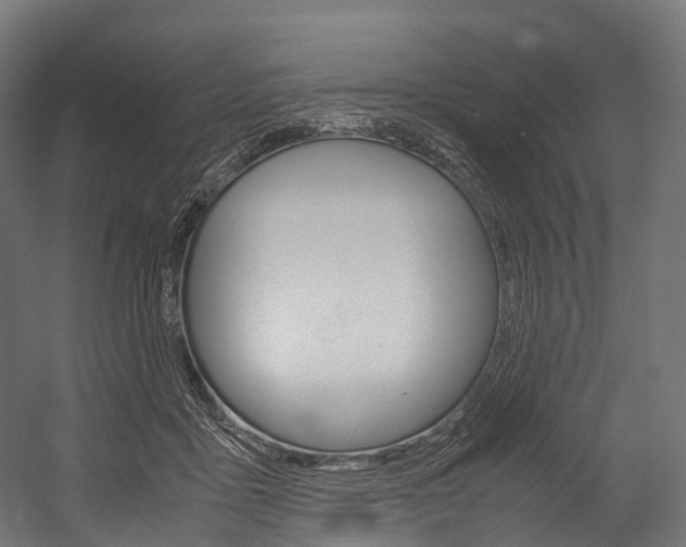 X0000054470411200507291052