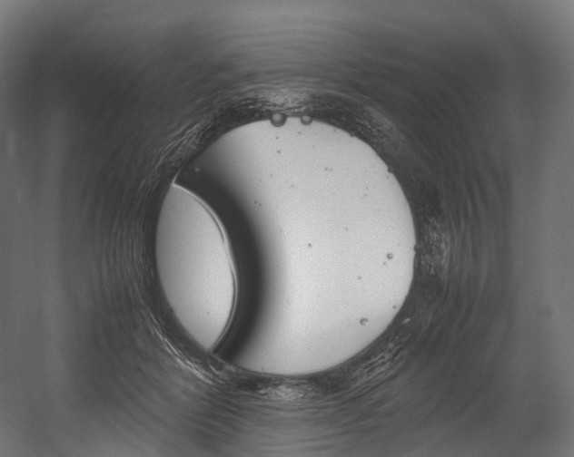 X0000054470412200507291052