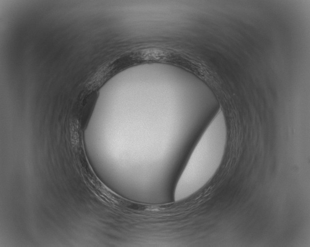 X0000054470413200507291052