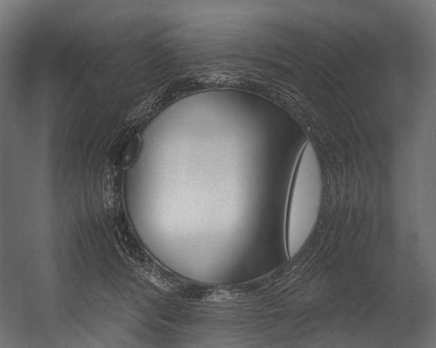 X0000054470416200507291052
