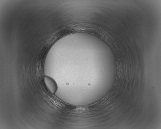 X0000054470418200507291052