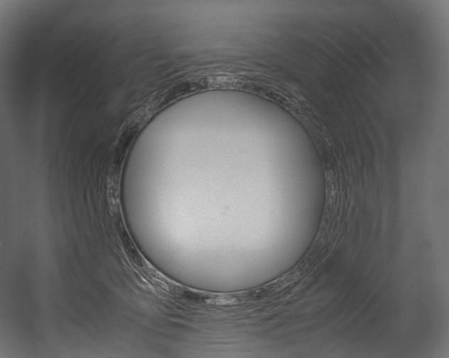 X0000054470419200507291052