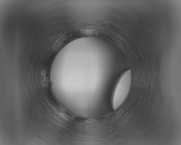 X0000054470420200507291052