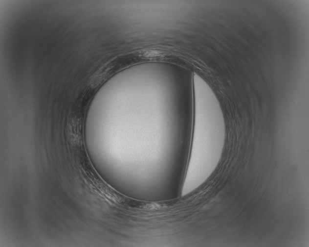 X0000054470421200507291052