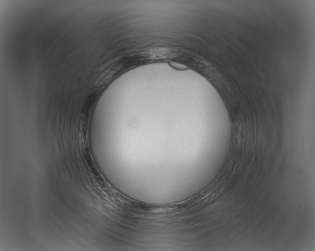 X0000054470422200507291052