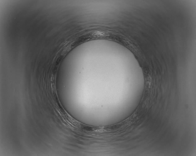 X0000054470423200507291052