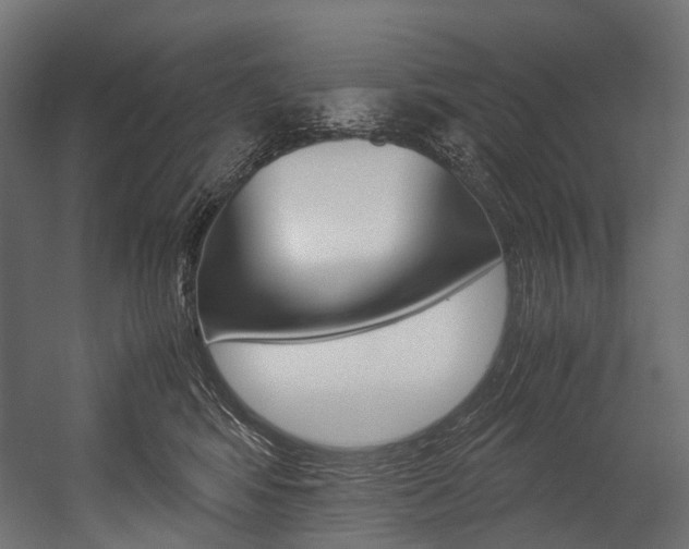 X0000054470424200507291052