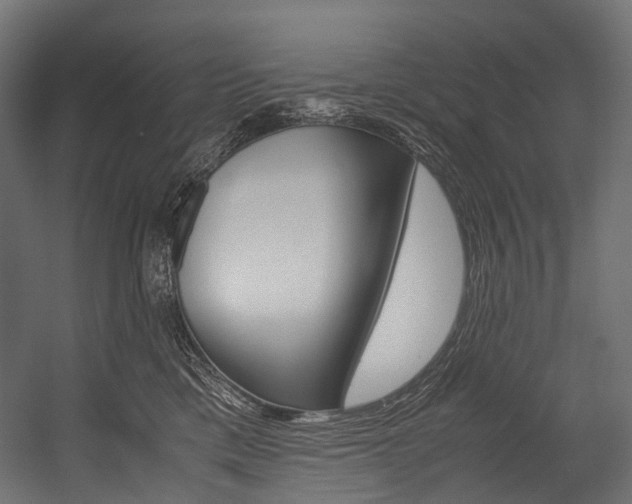 X0000054470425200507291052