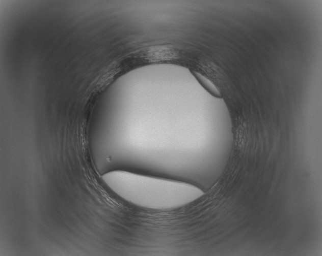 X0000054470426200507291052