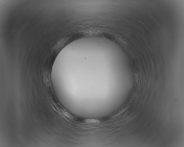 X0000054470429200507291052