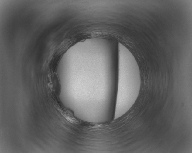 X0000054470430200507291052
