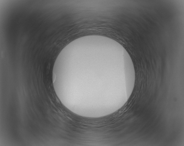 X0000054470431200507291052