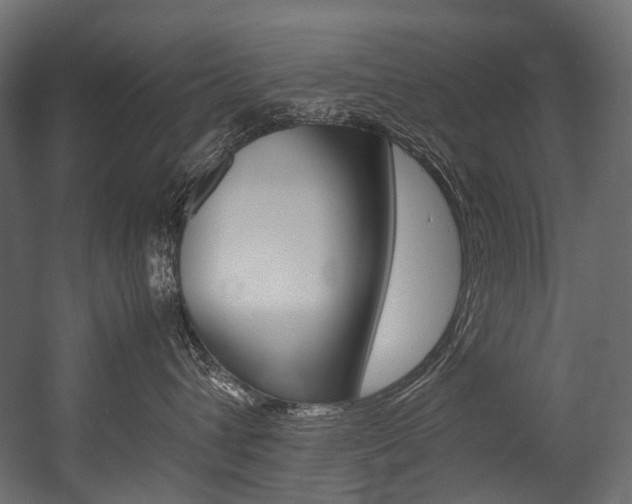 X0000054470432200507291052