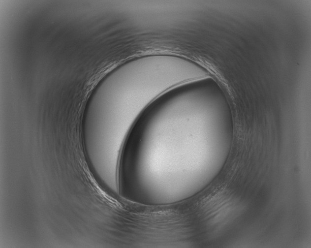 X0000054470433200507291051