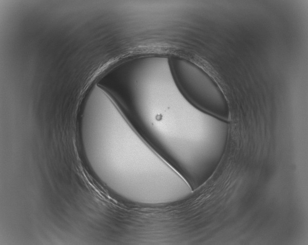 X0000054470434200507291051
