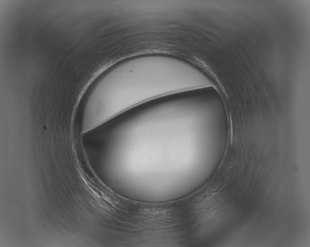 X0000054470435200507291051