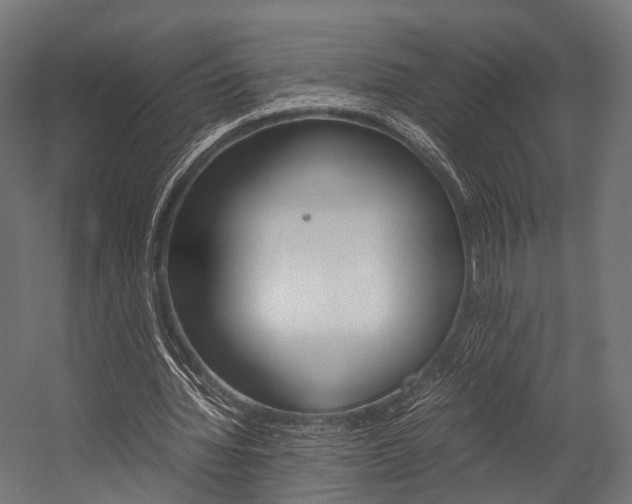 X0000054470436200507291051