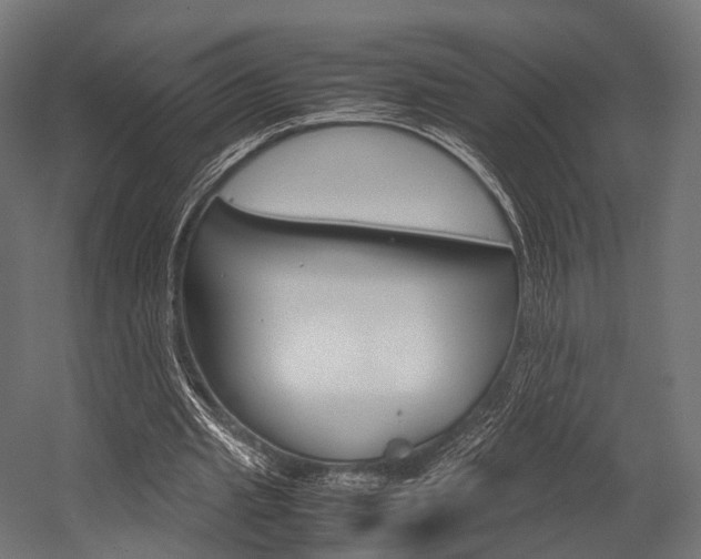 X0000054470437200507291051