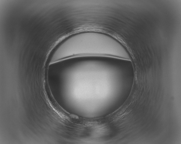 X0000054470438200507291051