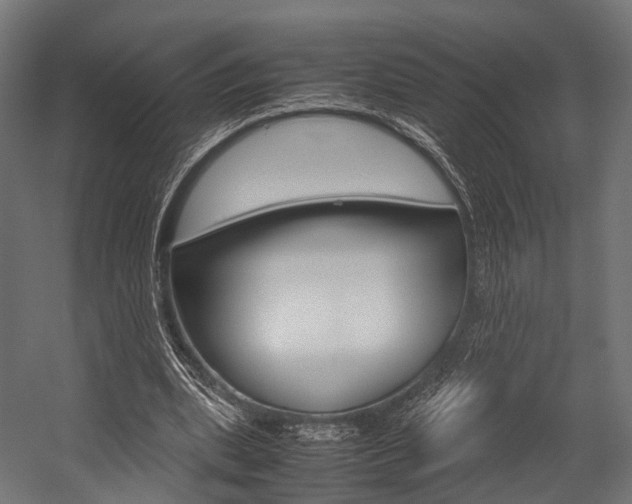 X0000054470439200507291051