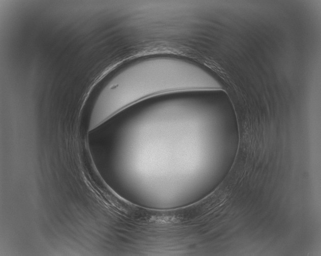 X0000054470440200507291051